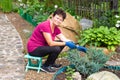 Garden work. Positive smiling senior woman cutting coniferous plant using a hedge shears on her