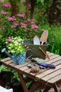 Garden work still life in summer. Camomile flowers, gloves and tools on wooden table outdoor in sunny day