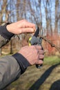 Garden worker cut the trees sprout