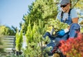 Garden Worker Professional Landscaper Preparing Plants