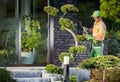 Garden Worker Trimming Decorative Tree Using Cordless Shaping Trimmer Royalty Free Stock Photo