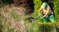 Garden Worker Using Pruning Shear to Cut Unhealthy Plant Branches Royalty Free Stock Photo