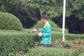 Garden workers in trim green belts