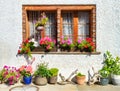 Garden and yard design in the old style. The facade of an apartment building. Pots of flowers. Royalty Free Stock Photo