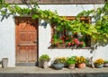 Garden and yard design in the old style. The facade of an apartment building. Pots of flowers.