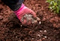 Gardener adding chicken manure pellets to soil ground for planting in garden Royalty Free Stock Photo