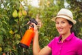 Gardener applying an insecticide/a fertilizer to his fruit shrub Royalty Free Stock Photo