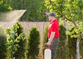 Gardener applying an insecticide fertilizer to his fruit shrubs Royalty Free Stock Photo