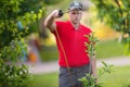 Gardener applying an insecticide fertilizer to his fruit shrubs Royalty Free Stock Photo