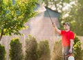 Gardener applying an insecticide fertilizer to his fruit shrubs Royalty Free Stock Photo