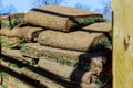 Gardener applying turf rolls in the backyard grass rolls ready for installing Royalty Free Stock Photo