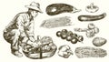 Gardener with a basket of harvested vegetables. Hand drawn set.