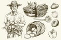 Gardener with basket of harvested vegetables. Hand drawn illustratio