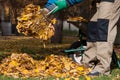 Gardener cleaning garden during autumn