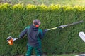 Gardener cuts a hedge Royalty Free Stock Photo
