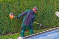 Gardener cuts a hedge Royalty Free Stock Photo