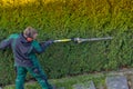 Gardener cuts a hedge Royalty Free Stock Photo