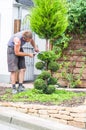 A gardener cuts the topiary Royalty Free Stock Photo