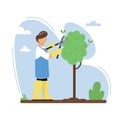 A gardener cuts a tree in the garden. A man pruning branches of a tree with pruner. Royalty Free Stock Photo