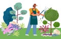 Gardener cuts a tree. Pruning bushes and garden maintenance vector illustration. Man cuts the leaves on landscape design