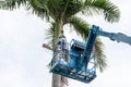 Gardener cutting branches on crane basket. unsafe concept Royalty Free Stock Photo