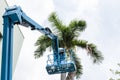 Gardener cutting branches on crane basket. unsafe concept Royalty Free Stock Photo