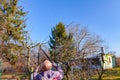 Gardener is cutting branches, pruning fruit trees with long shears in the orchard Royalty Free Stock Photo