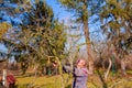 Gardener is cutting branches, pruning fruit trees with long shears in the orchard Royalty Free Stock Photo