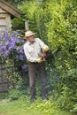 Gardener cutting a garden hedge Royalty Free Stock Photo