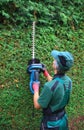 Gardener cutting thuja hedge with hedge clippers