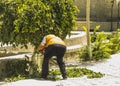 Gardener cutting trees branches with clippers. Home and garden concept Royalty Free Stock Photo