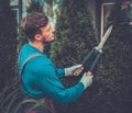 Gardener cutting trees with clippers Royalty Free Stock Photo