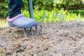 Gardener digging the earth over with a garden fork to cultivate the soil ready for planting in early spring. Royalty Free Stock Photo