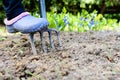 Gardener digging the earth over with a garden fork to cultivate the soil ready for planting in early spring. Royalty Free Stock Photo