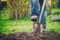 Gardener digging in a garden with a spade