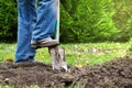 Gardener digging in a garden with a spade Royalty Free Stock Photo