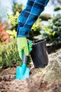 Gardener digging with a shovel.