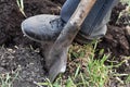 Gardener digging with spade in garden