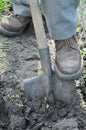 Gardener digging up