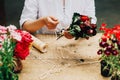 Gardener doing gardening work at a table rustic. Working in the garden, close up of the hands of a woman cares flowerscarnations. Royalty Free Stock Photo