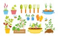 Gardener flat cartoon set garden vegetable vector