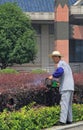 Gardener with Gasoline Hedge Trimmer is doing his work