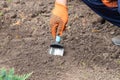 A gardener in gloves prepares the soil for seedlings with hand garden shovel. Hand garden shovel in the soil. Close-up Royalty Free Stock Photo