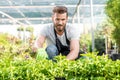 Gardener with a green plants in the hotbed