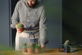 Gardener in grey shirt working at orangery with cacti on wooden table