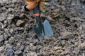 Gardener hand planting in backyard garden, Woman in gloves using hand shovel tool for seedling, Soil preparation