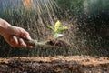 Gardener hand planting young vegetable sprout in fertile soil with raindrop