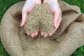 A handful of grass seed