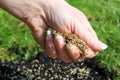 Sowing Grass Seeds By Hand. Royalty Free Stock Photo