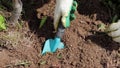 A gardener hands in gloves removes weeds from a ground and spud soil with a tool close up